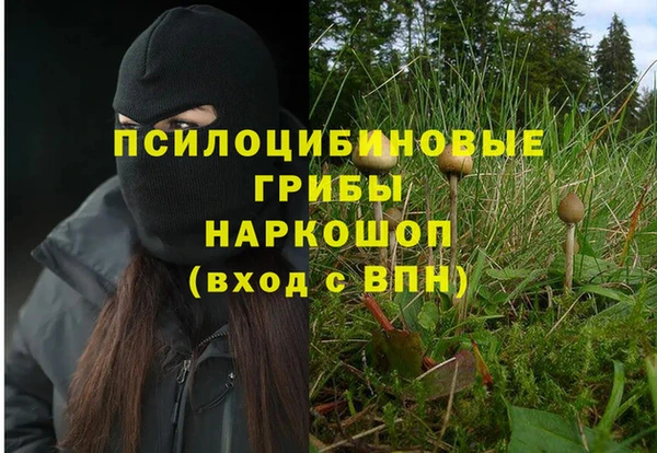кокаин колумбия Алексин