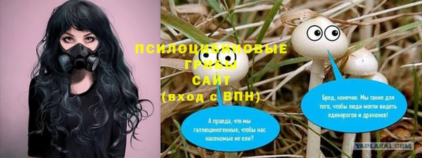 хмурый Алзамай