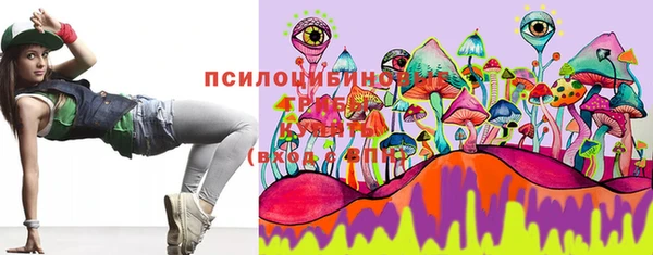 хмурый Алзамай