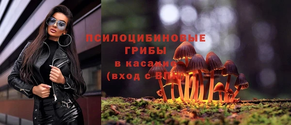 кокаин колумбия Алексин