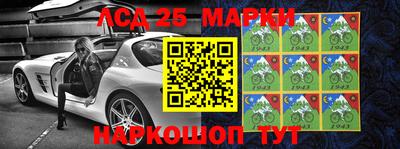 индика Аша