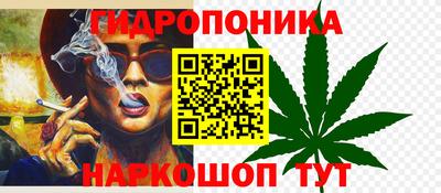 индика Аша