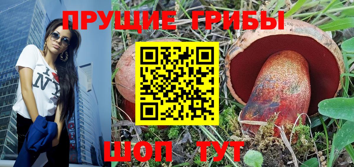 Галлюциногенные грибы Psilocybe  Вход с VPN  Мегион 
