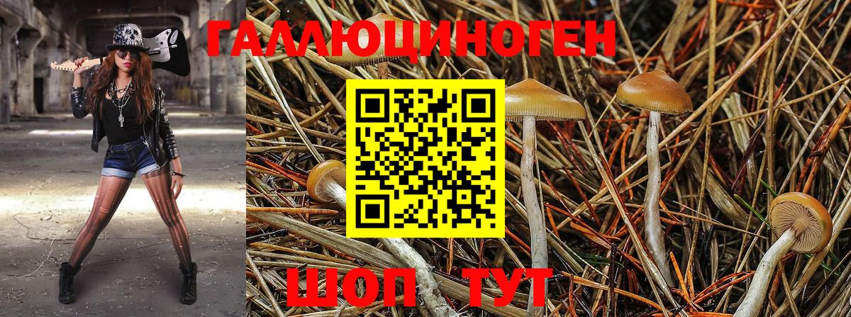 Галлюциногенные грибы мухоморы Мегион